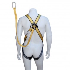 Safety Harnesses 1 Point 2