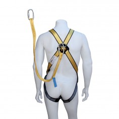 Safety Harnesses 3 points