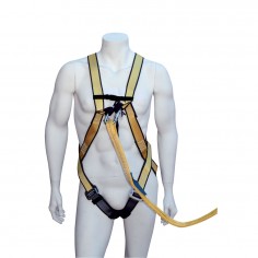 Safety Harnesses 3 points 2
