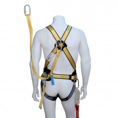 Safety Harnesses 5 points 2